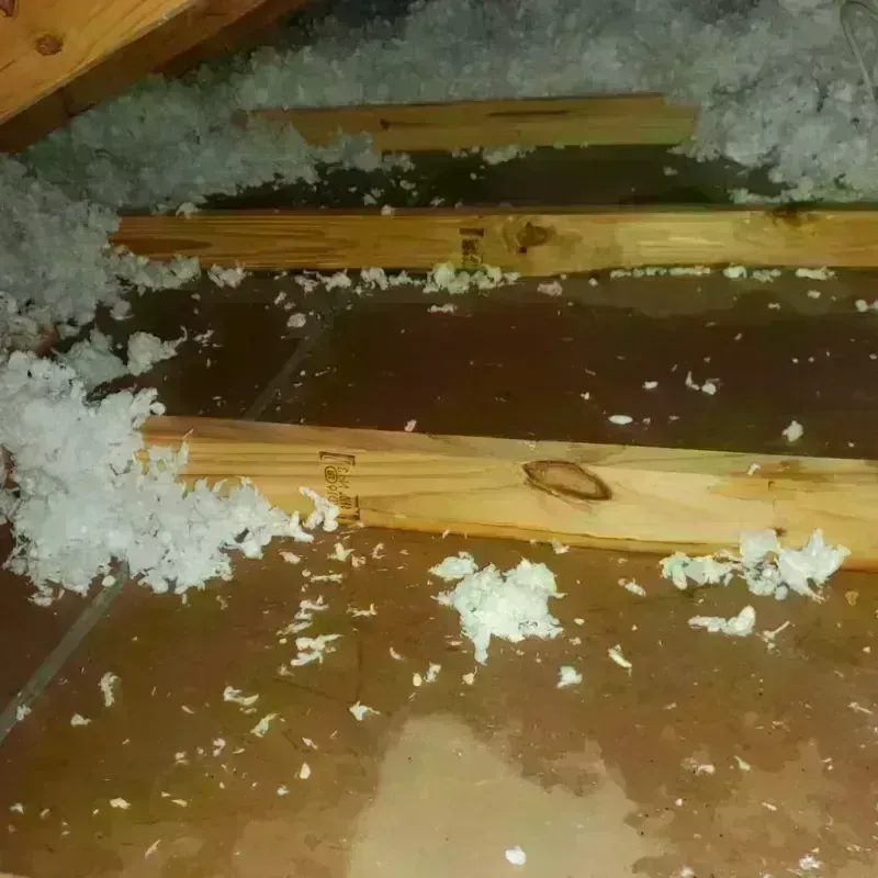 Attic Water Damage in Zebulon, GA